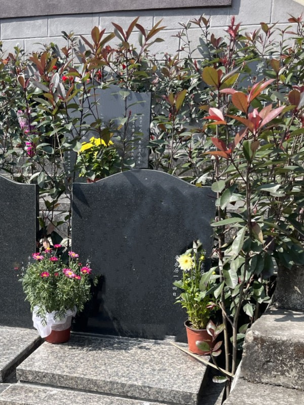 靠山园简约立碑