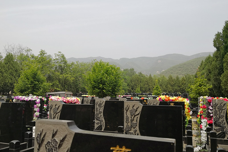 卧龙寺公墓碑型展示